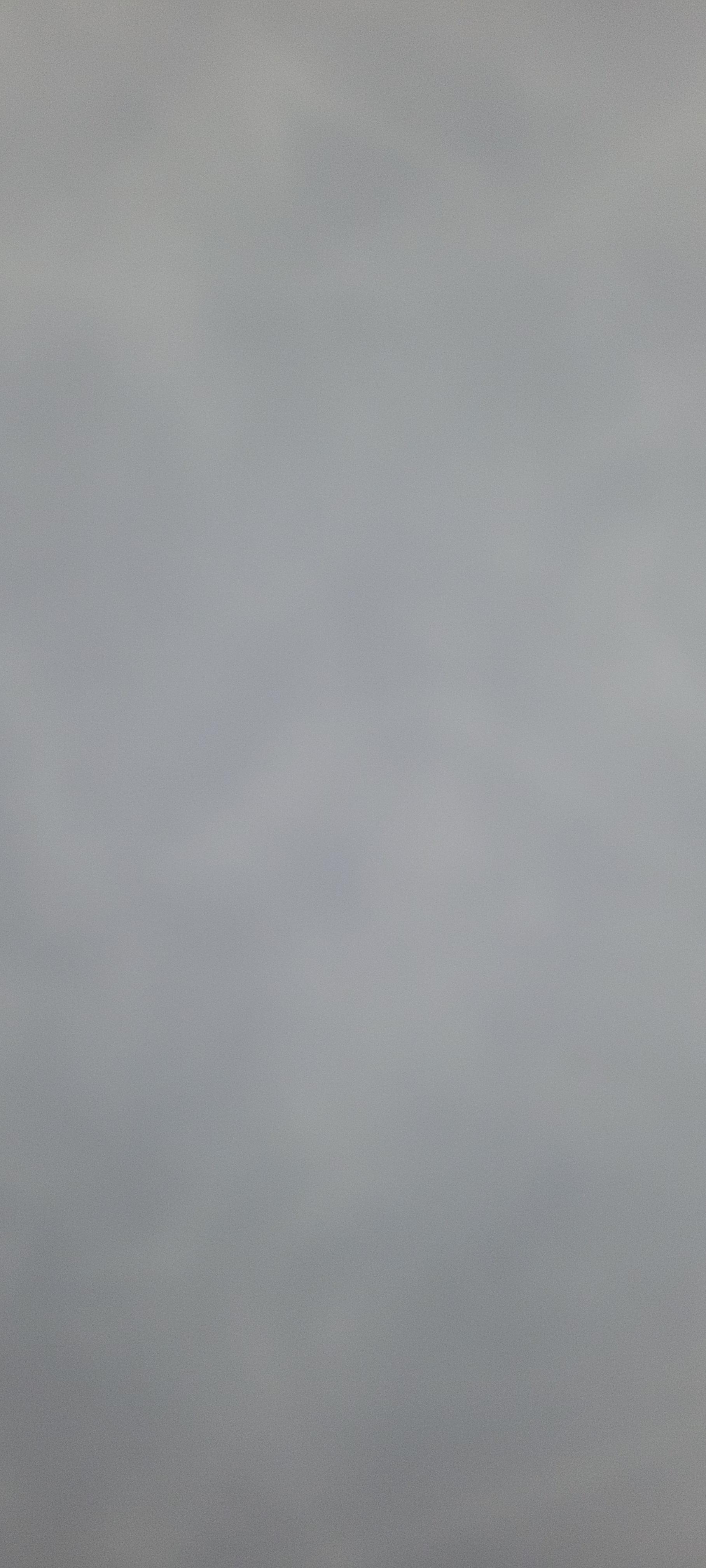 rentx listing card gallery